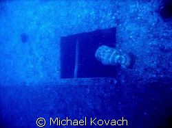 Goliath Grouper entering the wreck of the Spiegel Grove o... by Michael Kovach 